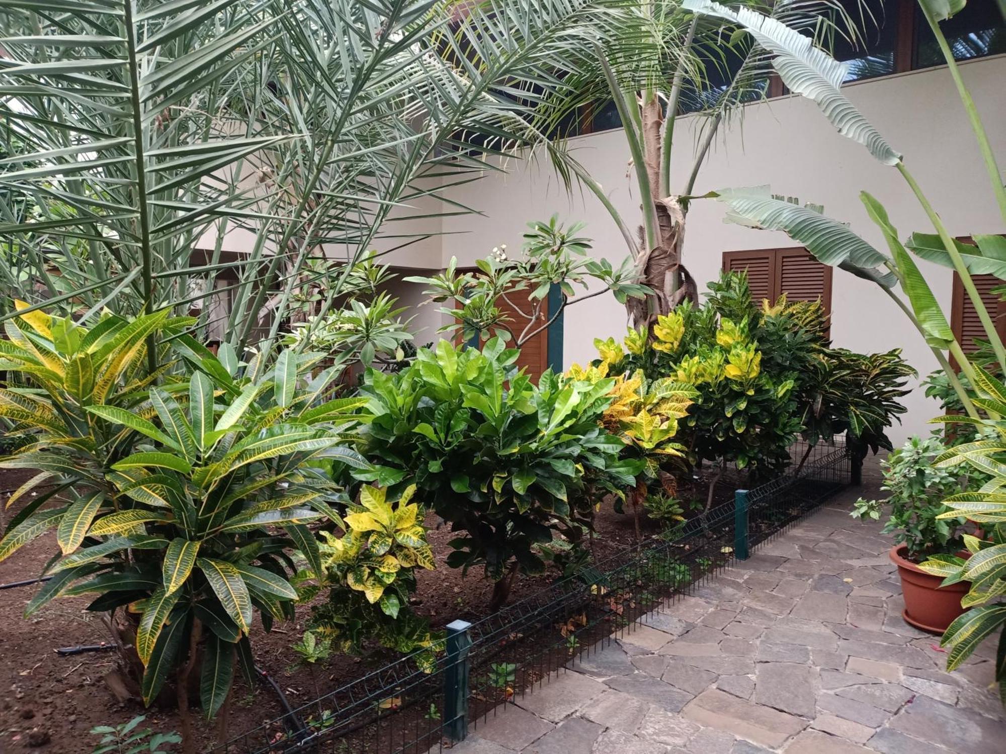 Casa Das Buganvilias Praia Extérieur photo